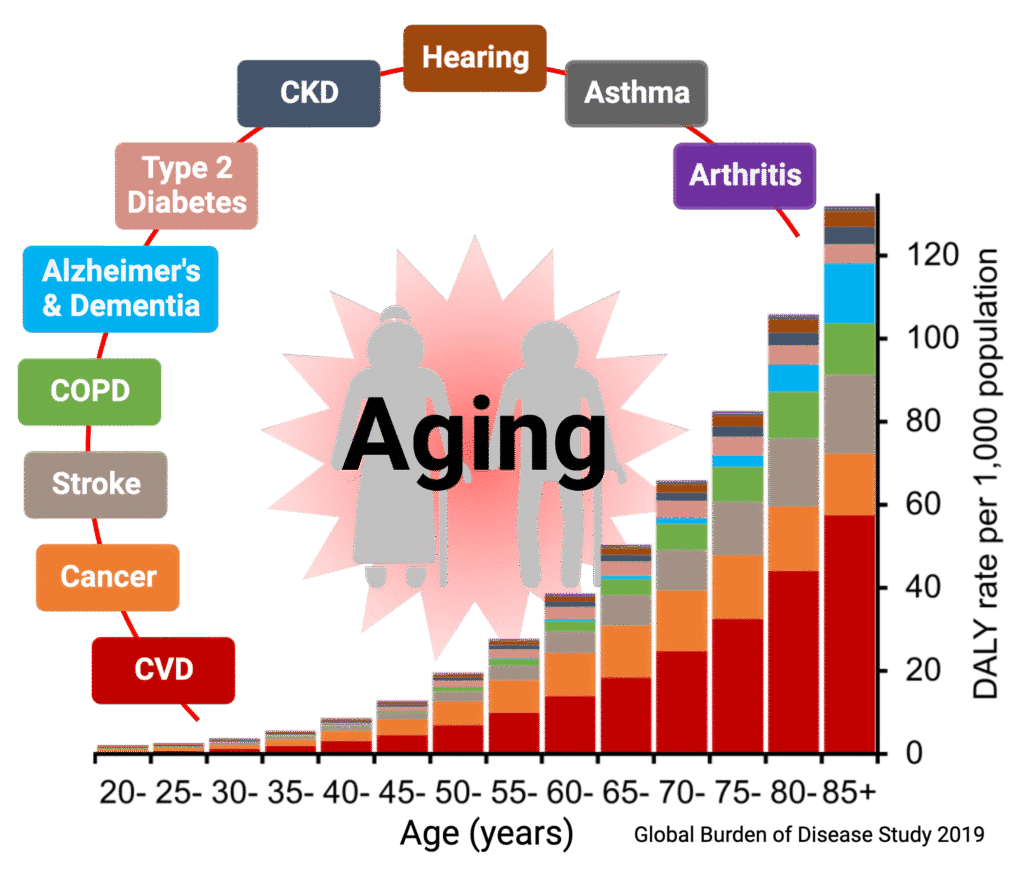 Biogerontology & Anti-Aging – Linus Pauling Prevention Center